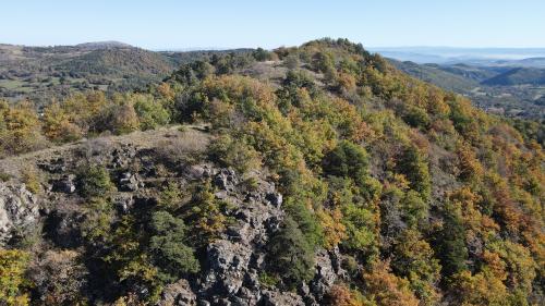 DJI_1600.JPG